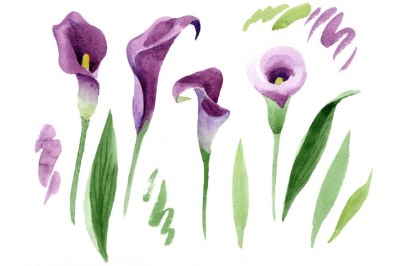 Aquarelle Purple Callas Watercolor Set Review