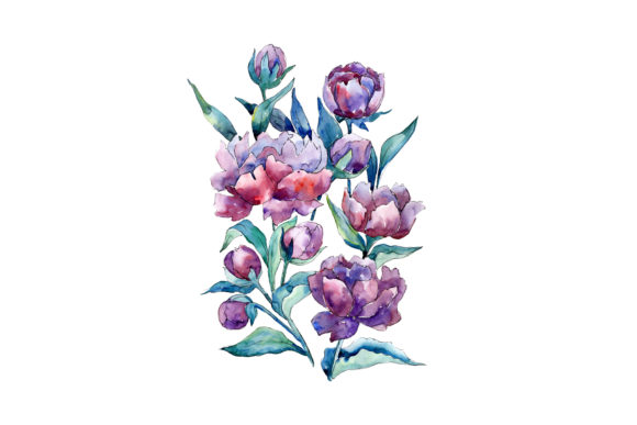 Bouquet of Flowers Mondial Watercolor Illustrations