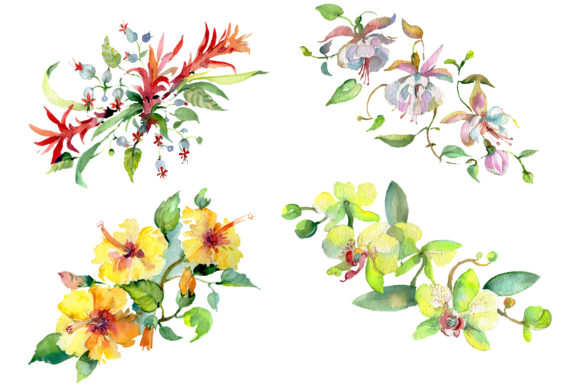 Bouquet of Flowers Mozambique Watercolor Illustrations