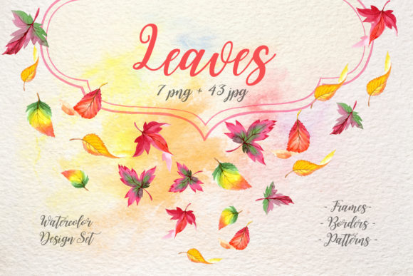Cool Autumn Leaves Watercolor Set Illustrations