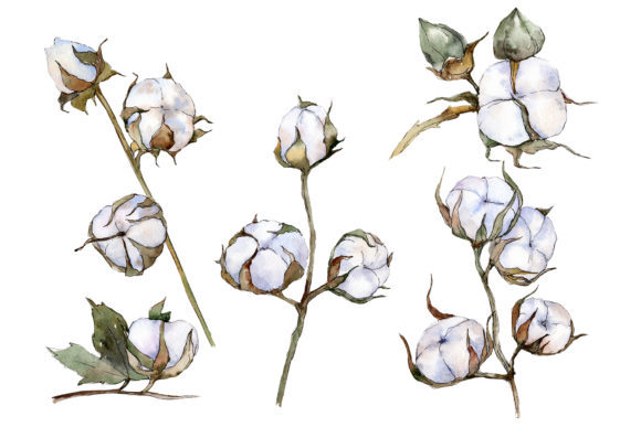 Cotton Vegetable Watercolor Embroidery Review