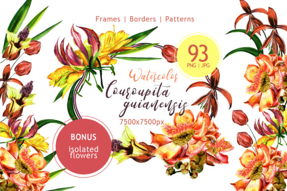 Couroupita Guianensis Watercolor Set & Illustrations