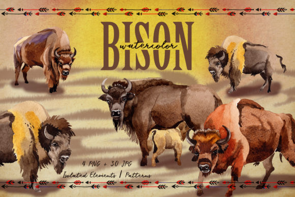 Exotic Bison Wild Animal Watercolor Set & Illustrations