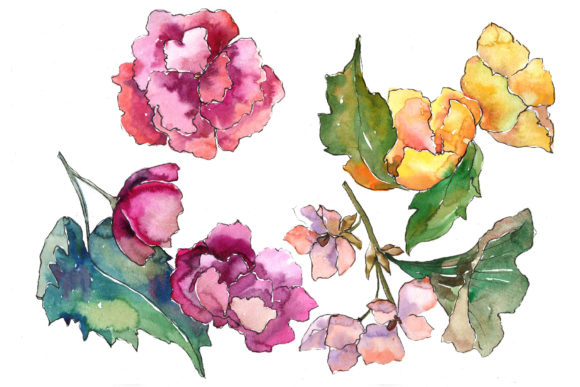 Gardenia Colorful Flower Watercolor Set & Illustrations