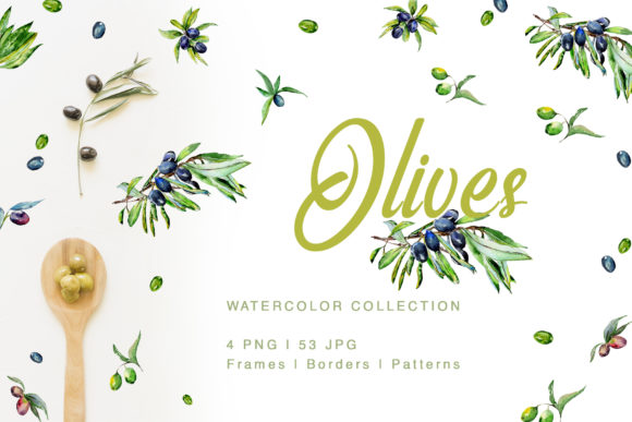 Green Olives Watercolor & Illustrations