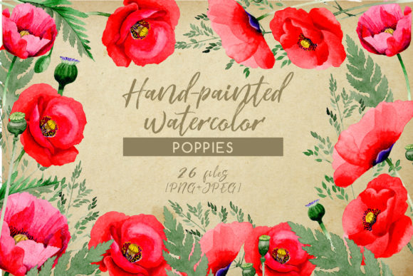 Hand-painted Poppies Watercolor Set Review