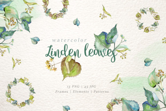 Linden Leaves Watercolor Illustrations Review