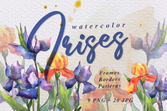Orange and Purple Irises Watercolor Set Illustrations