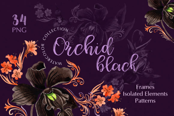 Orchid Black Watercolor Illustrations