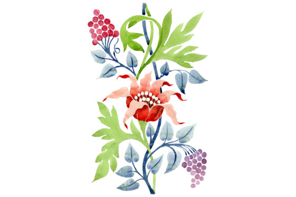 Ornament Flower Aromas of Nature Illustrations