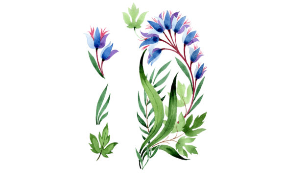 Ornament in Classic Watercolor Style Illustrations