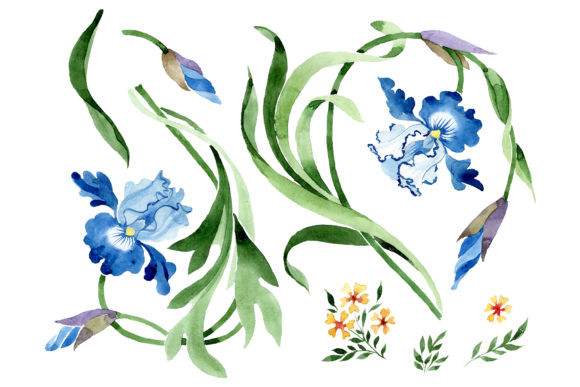 Ornament with Irises Watercolor Illustrations