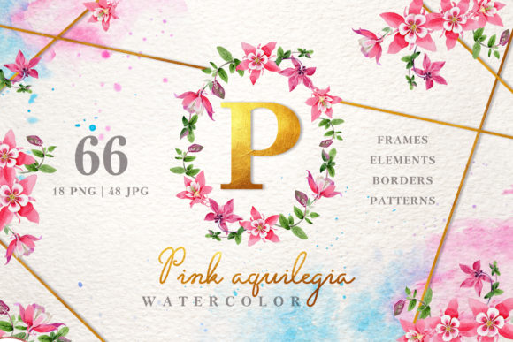 Pink Aquilegia Watercolor Illustrations Review