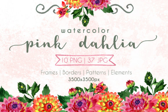 Pink Dahlia Watercolor Set Illustrations