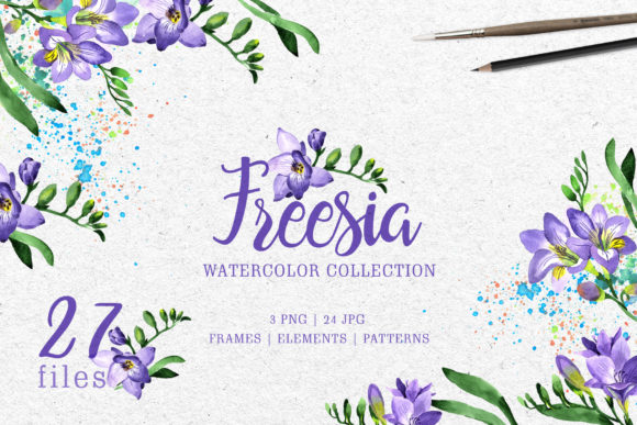 Purple Freesia Watercolor Illustrations