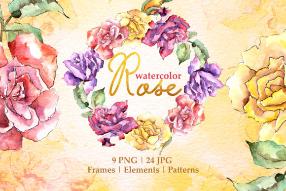 Rose Multi-colored Watercolor Illustrations Review