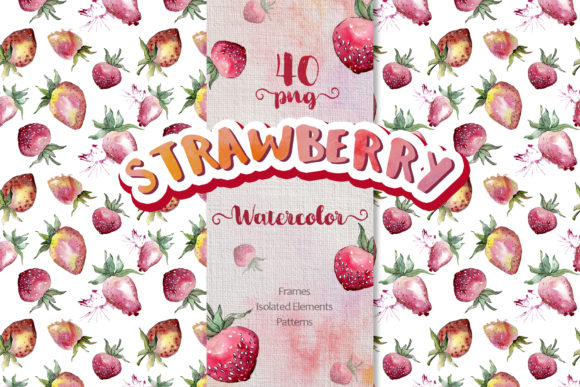 Strawberry Watercolor Illustrations Review
