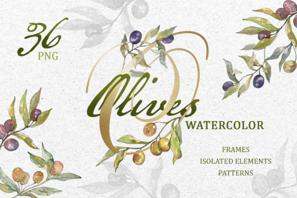 Tasty Olives Watercolor Illustrations