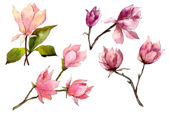 Tender Pink Magnolia Watercolor Set Illustrations