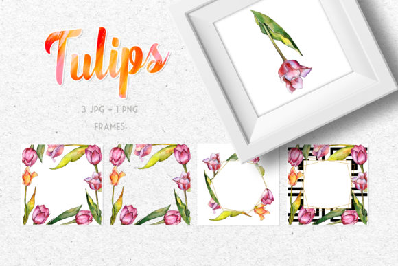 Tulips for Love Watercolor Illustrations