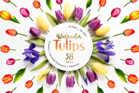 Tulips Watercolor Red Illustrations Review