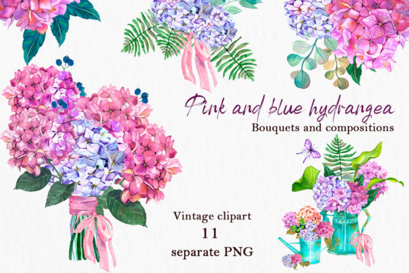 Watercolor Pink and Blue Hydrangea Illustrations
