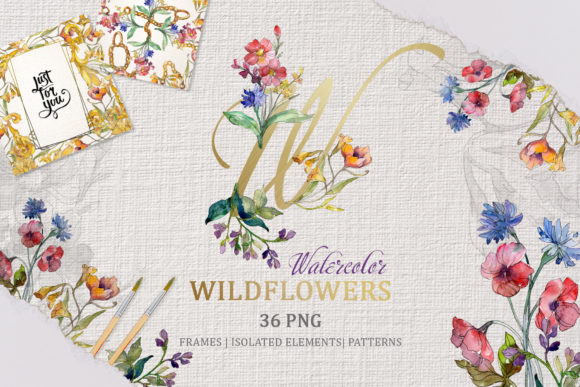 Wildflowers Harming Watercolor Illustrations Review